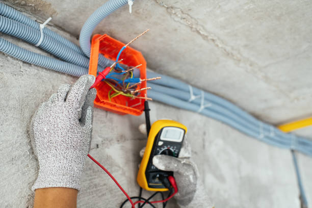 Best Electrician for Home Renovation  in Lake Linden, MI